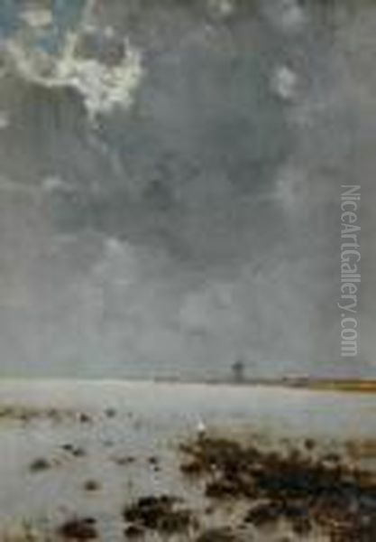 Approaching Storm Over A Lake - view 1