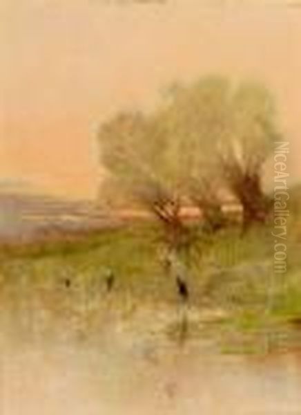 Storche Im Abendrot - view 1