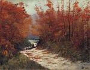 Autumn Colours