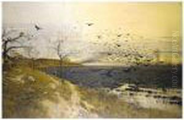 Flock Of Birds At Sunset - view 1