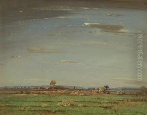Moorlandschaft. - view 1