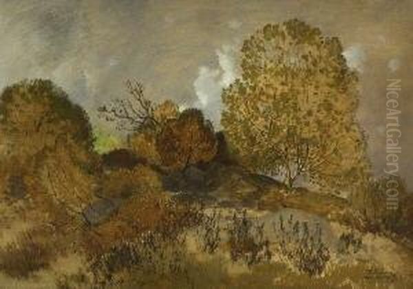Baumlandschaft. - view 1
