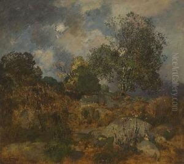 Baumlandschaft. - view 1