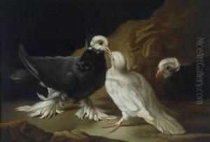Two Doves by Frans Werner Von Tamm
