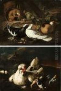 Two Courting Doves, A Squirrel 
And A Guinea-pig On A Forest Floor;and A Hen And Chicks In A Landscape