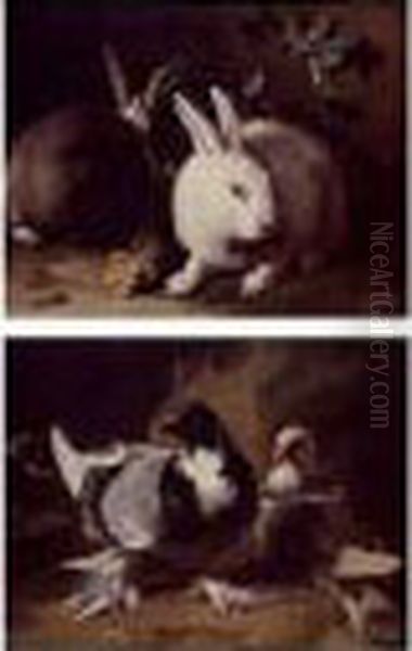 Rabbits In A Landscape And Doves In A Landscape: A Pair Of Paintings - view 1