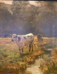 Cows By A Stream Cows By A Stream