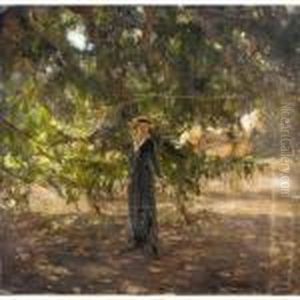 In The Shade Of The Tree In The Shade Of The Tree