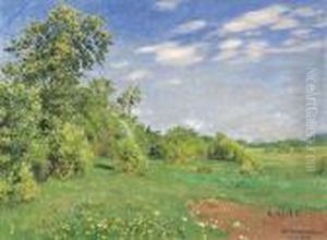 Blick In Weite Fruhlingslandschaft Mit Grunenden Buschen Und Bluhender Wiese by Hans Richard Von Volkmann
