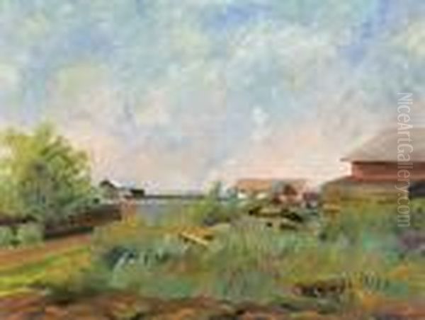 Blick Uber Gehofte In Sommerlicher Moorlandschaft - view 1