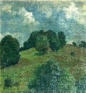 Sonnenbeschienene Baumbestandene Kuppe Sonnenbeschienene Baumbestandene Kuppe