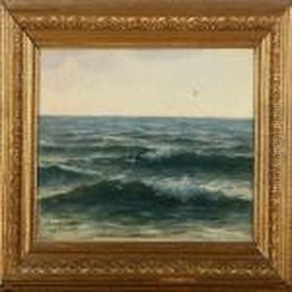 A Sea Scenery Withbirds - view 1