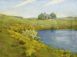 Spring Blossoms By The Weinfeldermaar
