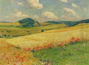 Mohnblute In Der Eifel Bei Burg Kerpen