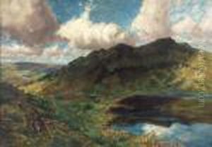 Bluhender Ginster Am Meerfelder Maar In Der Eifel by Fritz Von Wille