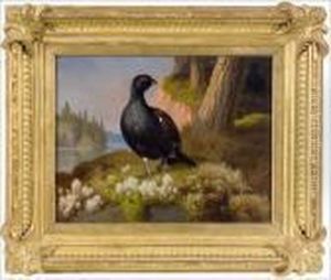 Teeria. by Ferdinand Wilhelm Von Wright