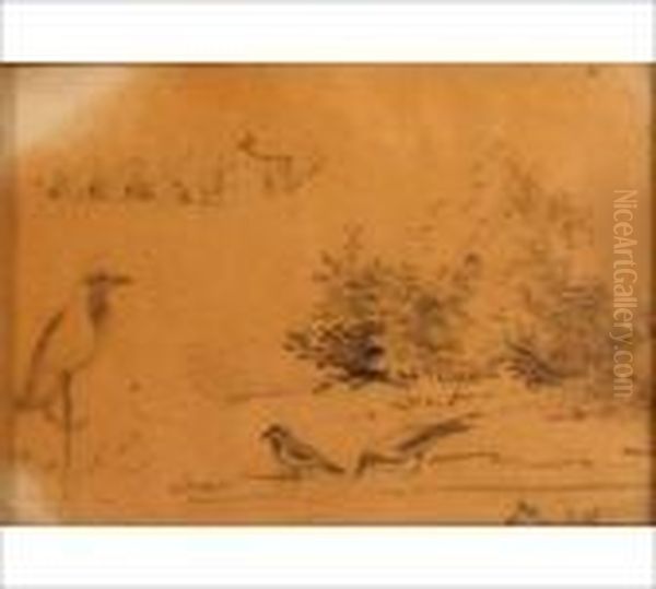 Untitled - view 1