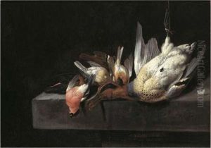 A Still Life With Birds And A Duck On A Stone Ledge by Jacobes Vonck