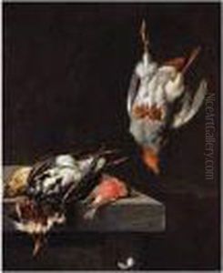 Still Life With A Ruff, 
Bullfinch, And A Pippit On A Ledge, And A Partridge Hanging From A Nail
