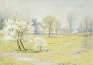 Spring Landscape With Blossoms