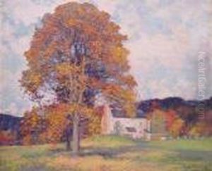 American Autumn American Autumn