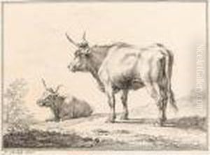 Two Cows, One Lying, One Standing