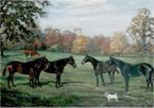 Hunters And A Terrier In A Pasture