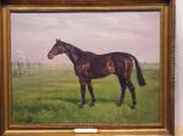 Horse Portrait Of 'billy Barton' - view 1