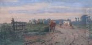 De Jonge Koeherder