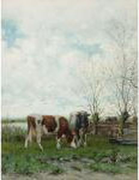 Cows At Pasture - view 1