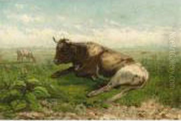 Resting Cow - view 1