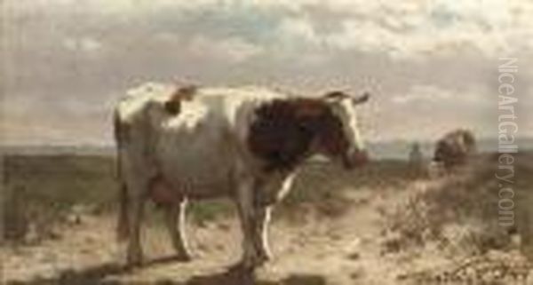 A Cow In A Field - view 1