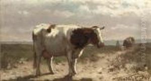 A Cow In A Field