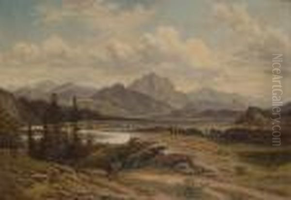Extensive Landscape - view 1