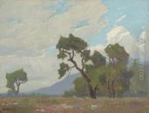 Grandeur Of The Clouds by Elmer Wachtel