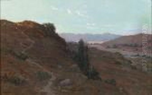 Alysian Hills - view 1