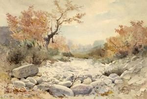 Arroyo Landscape