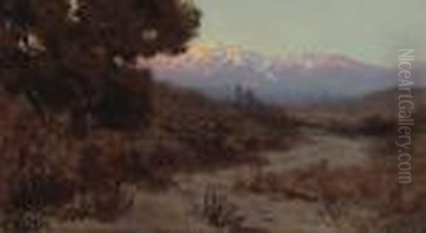 A Shaded Path With Snow-capped Peaks In The Distance - view 1