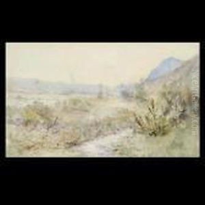 Western Landscape