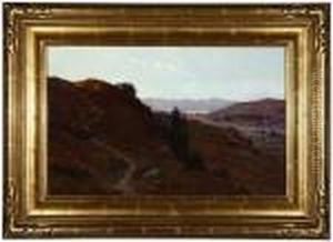 Alysian Hills