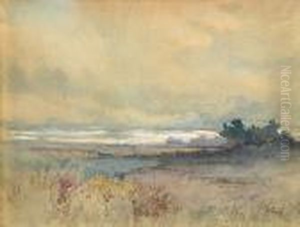 A Pathway To The Coast - view 1