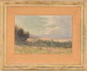Sunset Landscape