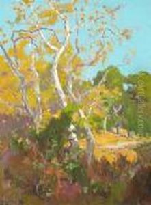 A Clearing In An Arroyo by Elmer Wachtel