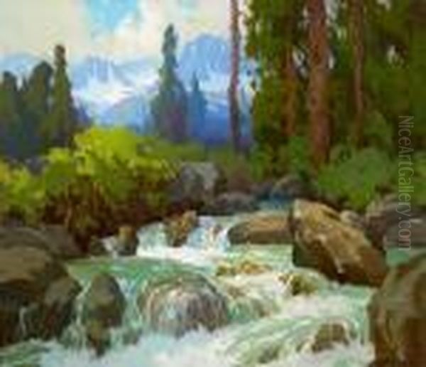 Near Mineral Falls - view 1