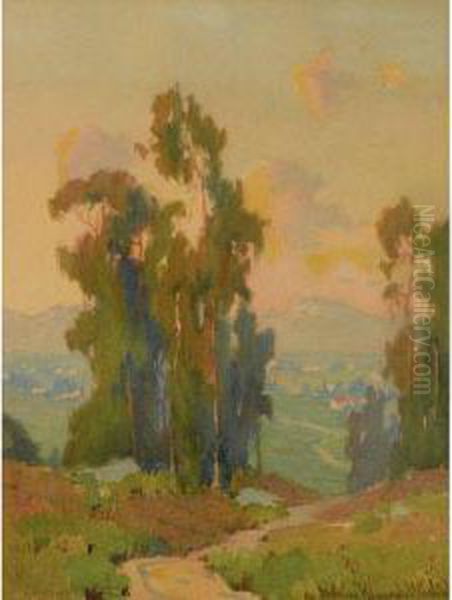 Path In The Hills, California - view 1