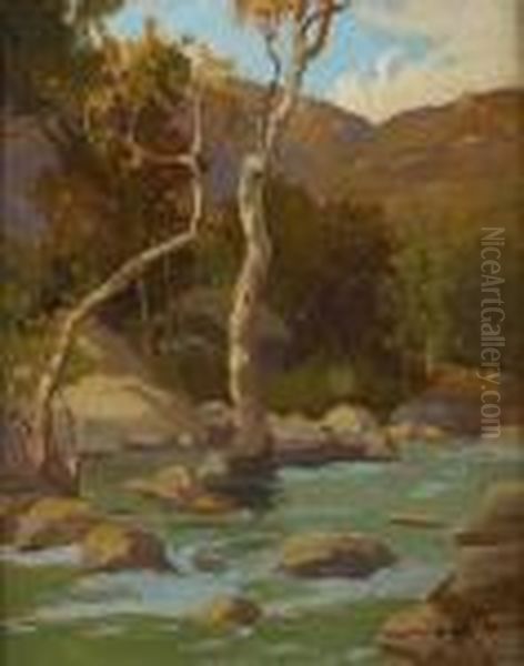 Stream And Trees - view 1