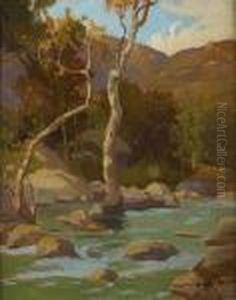 Stream And Trees by Marion Kavanaugh Wachtel