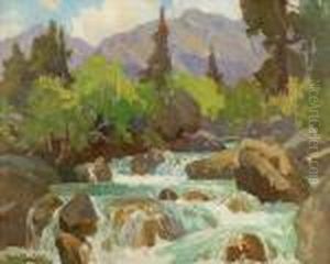 Sierra Spring Runoff