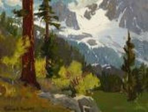 Redwood Trees In A Sierra Mountain Landscape