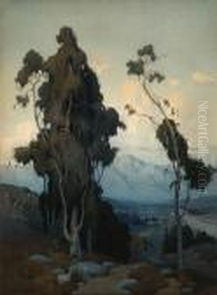 Eucalyptus - view 1